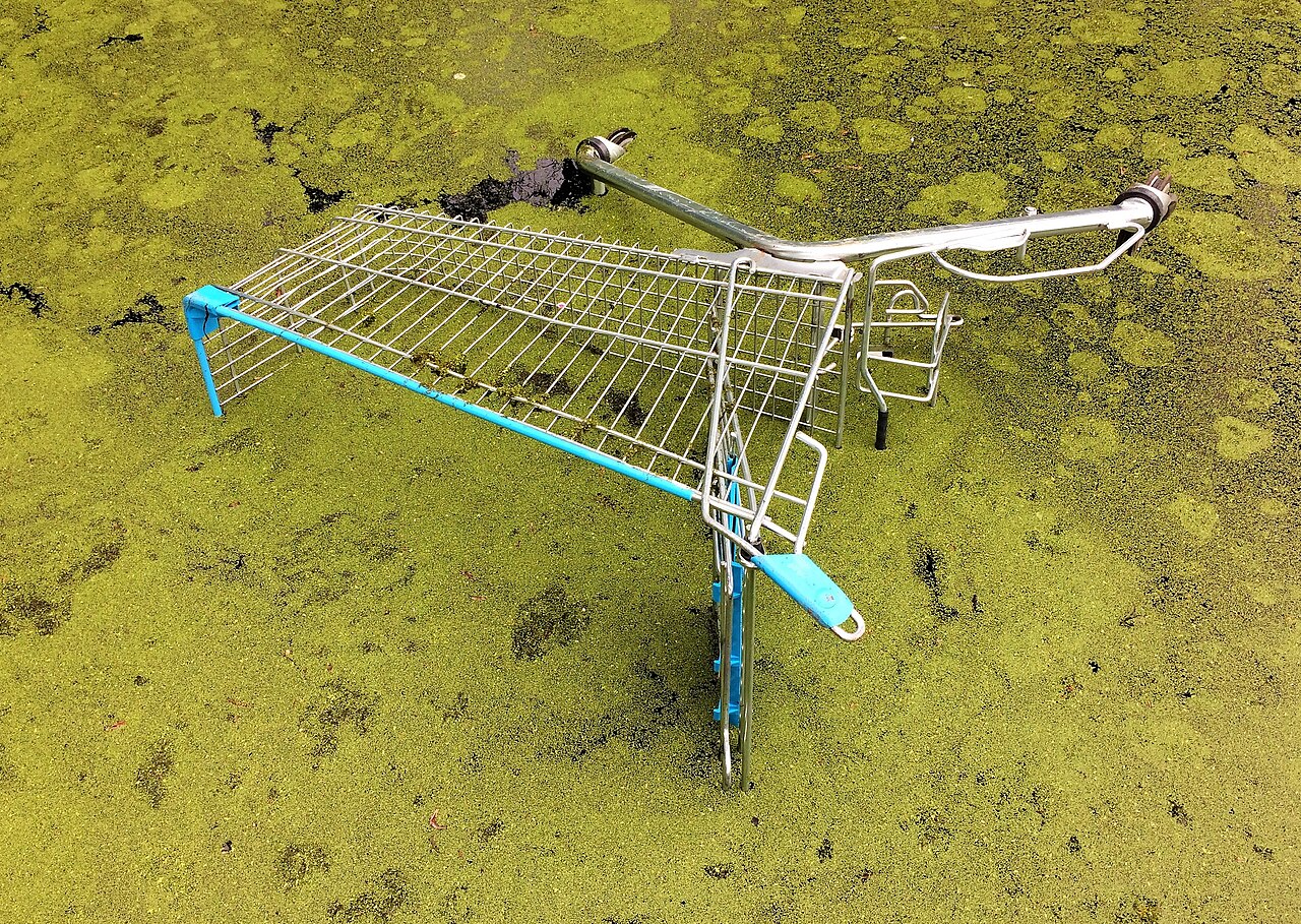 abandoned shopping mall